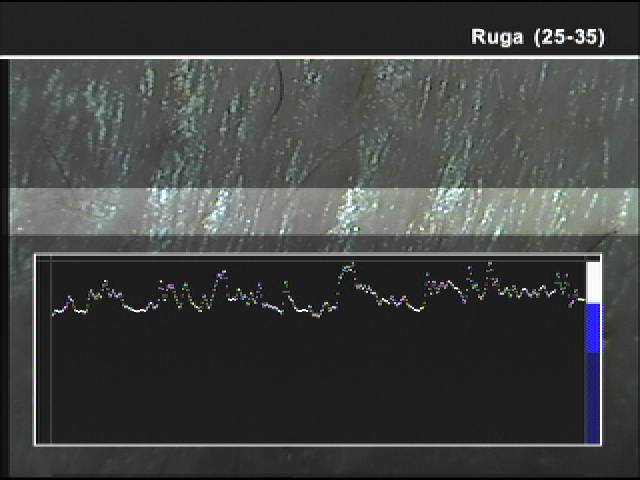 Andamento ruga larghezza e profondita', grafico.